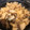 クックGBOQKW☆'s cooksnap of when they made 大根のそぼろ炒め煮.