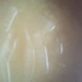 ﾌﾞﾚﾝﾀﾞ's cooksnap of when they made 減塩！下ゆでなし！大根の味噌汁.