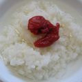 かぴーな's cooksnap of when they made 速攻！まろやかお茶漬け✿梅味.