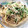にっしーーー's cooksnap of when they made シメジと水菜の和風パスタ.