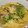 しぶみきちゃん's cooksnap of when they made 豆苗と卵のスープ.