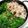 ささゆりの食卓's cooksnap of when they made 豚バラとほうれん草のスタミナ鍋.