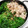 ささゆりの食卓's cooksnap of when they made 豚バラとほうれん草のスタミナ鍋.