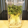 クリーピングタイム☆'s cooksnap of when they made 長持ち！かいわれ大根の冷蔵保存方法.