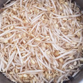 クック41OUTP☆'s cooksnap of when they made もやし長持ち保存法☆水に漬けておくだけ☆.