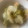 まりこんぶ★'s cooksnap of when they made 厚揚げと白菜の甘辛味噌煮.
