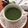 フジぽん's cooksnap of when they made ルイボス☆抹茶オレ♪.