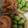 ma___111's cooksnap of when they made 簡単★サーモンのオープンいなり寿司.