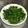 めがねりんご's cooksnap of when they made わさび菜の漬物.