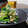 ダイナマイト漆黒's cooksnap of when they made ほうれん草のお浸しじゃこおろし和え.