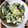 かえるとてんとう虫's cooksnap of when they made ほうれん草嫌い克服！ほうれん草たまご.