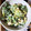 かえるとてんとう虫's cooksnap of when they made ほうれん草嫌い克服！ほうれん草たまご.