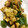 rui_and3's cooksnap of when they made 鶏肉としめじのふわふわ卵炒め.