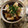 月桃124's cooksnap of when they made お豆腐のとろとろ❤ฺ生姜あんかけ.