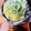 殿のお嫁さん's cooksnap of when they made 我が家の白菜の漬物♡.