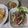 よちりん's cooksnap of when they made ﾌﾞﾛｯｺﾘｰｽﾌﾟﾗｳﾄで免疫力up☆.