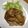 sunnnnny's cooksnap of when they made 我が家はいつも安いトンテキ.