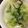 メロンパンケーキ's cooksnap of when they made 大量消費♥白菜のおひたし♥.