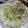 ちばたま's cooksnap of when they made 白菜だけのナムル風.