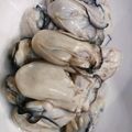 akiyuママ's cooksnap of when they made 私の好きな牡蠣の食べ方.