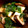 こだまだよ。's cooksnap of when they made 簡単熱々！ 絹揚げのきのこ餡かけ！.