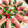 marbleママ♡'s cooksnap of when they made 簡単ッ♪トマトと生ハムとチーズの前菜.