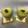 ルぴあ's cooksnap of when they made りんごと小松菜のスムージー.