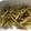 Rinko6's cooksnap of when they made 輝くレモンピール♪.