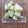 Rayryu123's cooksnap of when they made 綺麗になれちゃう『チーズ粉ふきいも』.