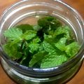 Nilmini's cooksnap of when they made ミントの長期保存方法♪.