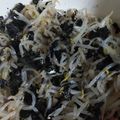 ゆしっきー's cooksnap of when they made 調味料２つの美味しいモヤシナムル.