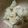 ねこはがき's cooksnap of when they made ＊簡単＊じゃがいもと胡瓜のサラダ＊.