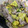 coco_4's cooksnap of when they made さつま芋と豚肉のだし炒め.