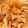 ズボラミーコ's cooksnap of when they made 簡単生姜焼き.
