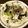元's cooksnap of when they made ひじき入り やみつきキャベツ.