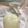 SK15's cooksnap of when they made 電子レンジで簡単☆もっちりういろう.