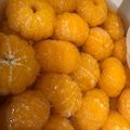ユカtoマオマオ's cooksnap of when they made 缶詰みたい!!みかんのコンポート.