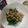クックBD86HW☆'s cooksnap of when they made 材料3つ♡春菊とツナ缶のあごだしおひたし.