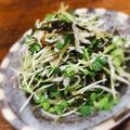 ちゃちゃまる26's cooksnap of when they made 簡単！かいわれとジャコの塩昆ごま油和え！.