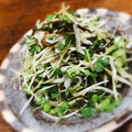 ちゃちゃまる26's cooksnap of when they made 簡単！かいわれとジャコの塩昆ごま油和え！.
