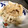 みきちゃん0727's cooksnap of when they made 【作り置き】大根のツナマヨサラダ.