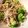 ame-ikuru's cooksnap of when they made ブロッコリーと夏野菜の和風和え物.