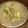 toshio39's cooksnap of when they made ふんわり卵とキャベツのコンソメスープ♪.