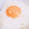 ＊sunlight＊'s cooksnap of when they made 究極のＴＫＧ☆エアリーたまごかけごはん.