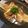 まーままい's cooksnap of when they made 揚げ鯛の梅あんかけ.