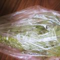 みづね's cooksnap of when they made 春菊の保存方法.