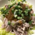 ゆせりた18's cooksnap of when they made 夏にぴったり♡ヘルシー豚みぞれ丼.