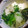 AYATORI's cooksnap of when they made 鱈のみぞれ汁.