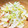 ☆☆あっきん☆☆'s cooksnap of when they made 白菜とりんごのサラダ.