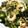 Muffin33's cooksnap of when they made 大根の葉が副菜に！簡単ごま油炒め.